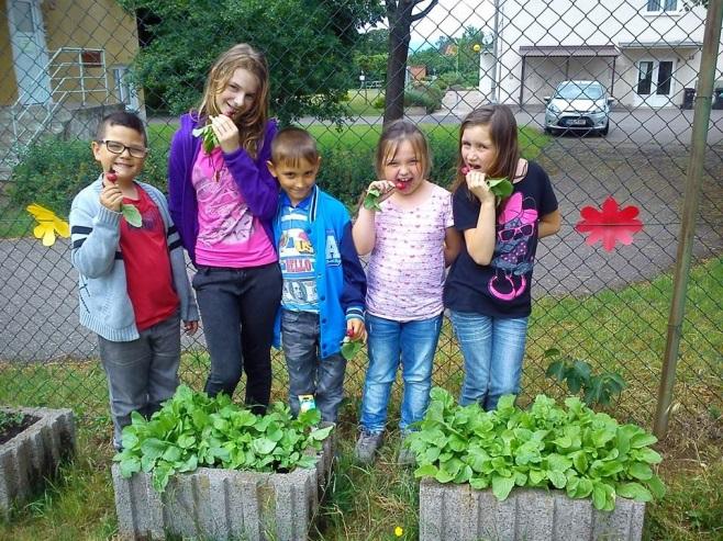 Téma soutěže se vázalo na celoroční téma roku 2016 - Mezinárodní rok luštěnin. Soutěž byla určená pro širokou veřejnost a byla rozdělena do 3 věkových kategorií.