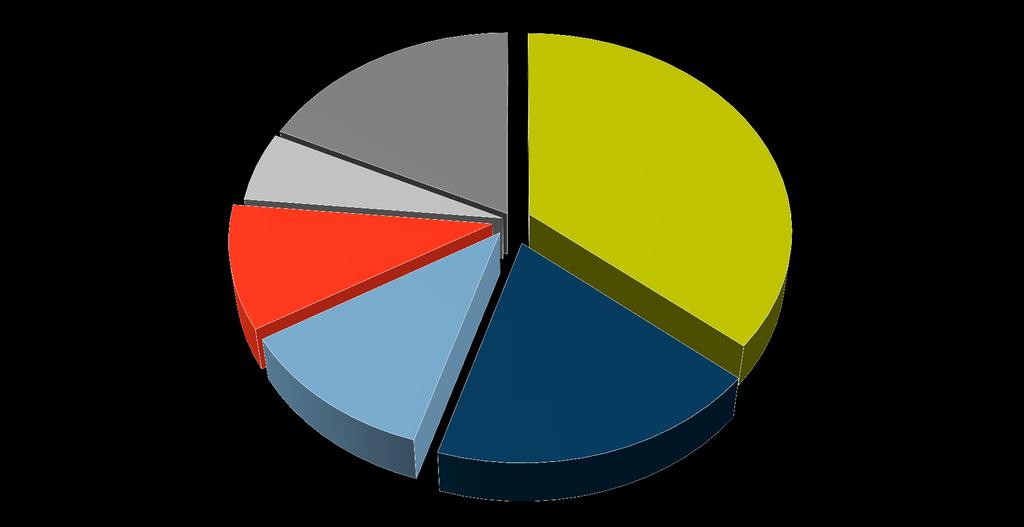 Činnosti podíl při poslechu rádia (v %) Ostatní