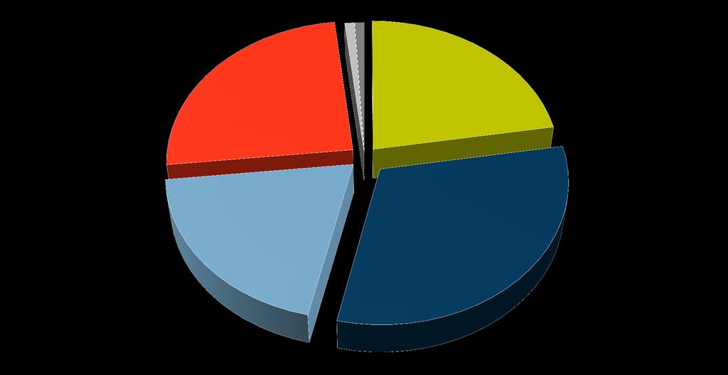 Mediální zastupitelství podíl na trhu (v %) Stanice nezastupované 0,9 OSTATNÍ