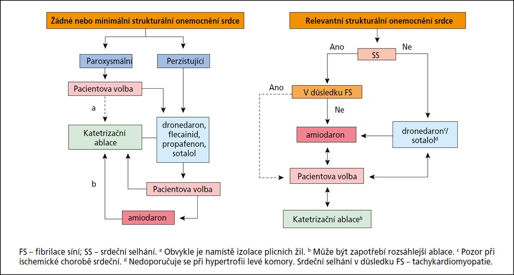 Optimalizace terapie pacientů se srdečním