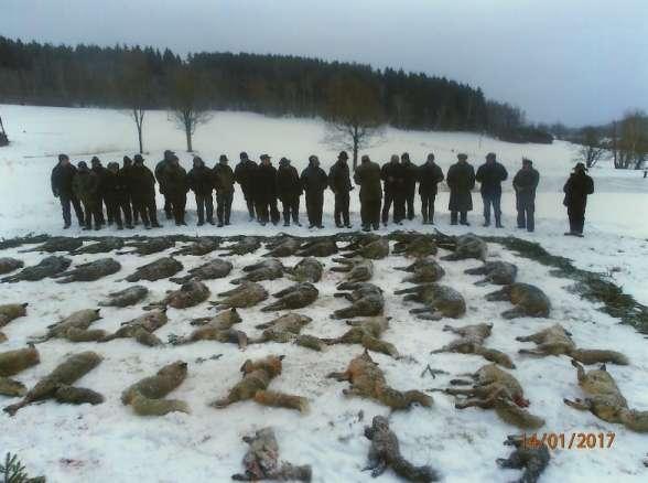 Velmi úspěšný výřad v lednu 2017 ( viz výše) foto V. Baštář sken F.Z. Výroční schůze Honebního společenstva bývají vyvrcholením celoroční práce všech myslivců.