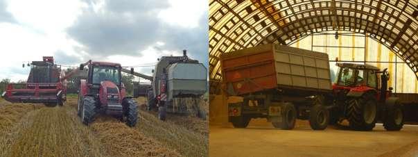 Na ploše 66 ha se pěstovala ozimá pšenice a oves, vzhledem k ekologickému systému bez ošetření, což znamenalo i snížený výnos.