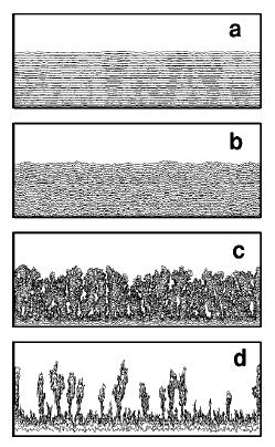 Aspergillus oryzae - růst na různých