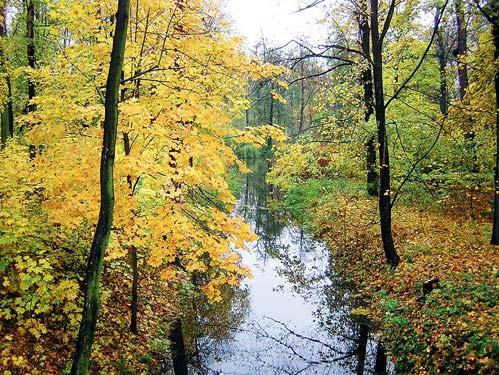 Významné problémy nakládání s vodami Vltava, plavební komora Hořín V dílčím povodí Vltavy po Labe byly nejčastěji zaznamenány tyto vodohospodářské problémy: znečištění povrchových a podzemních vod z