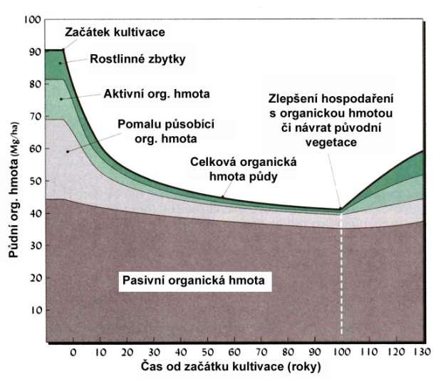 Změny v různých frakcích půdní organické