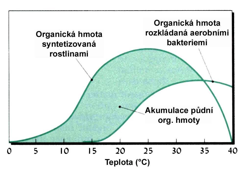 Rovnováha mezi produkcí rostlinné biomasy a její