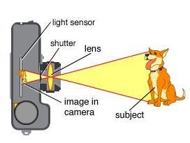 Jak pracuje lidské oko? Jednotlivé části oka pracují podobným způsobem jako části (digitálního) fotografického přístroje.