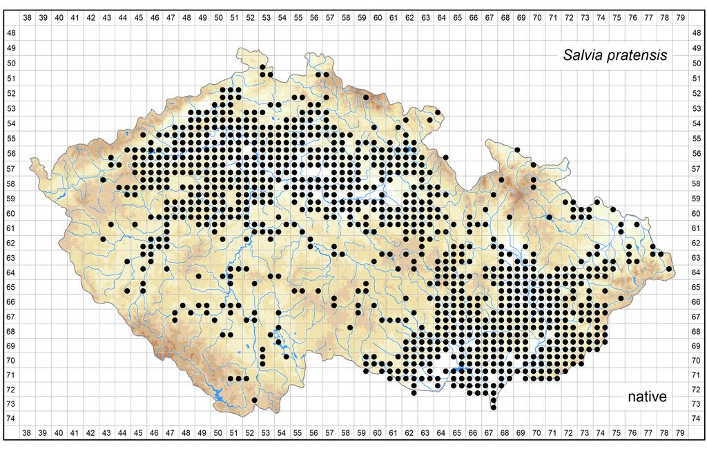 Distribution of Salvia pratensis in the Czech Republic Author of the map: Jitka Štěpánková Map produced on: 12-06-2018 Database records used for producing the distribution map of Salvia pratensis