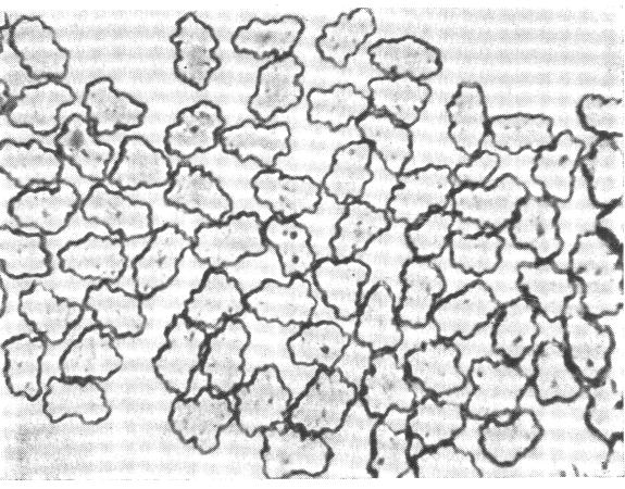 Postup výroby Máčení celulózy v NaOH Odlisování NaOH Rozvláknění celulózy Stárnutí (předzrávání) alkalicelulózy Sulfitace a xantogenace působením CS 2 Zrání viskózy Zvlákňování xantogenátu Formální