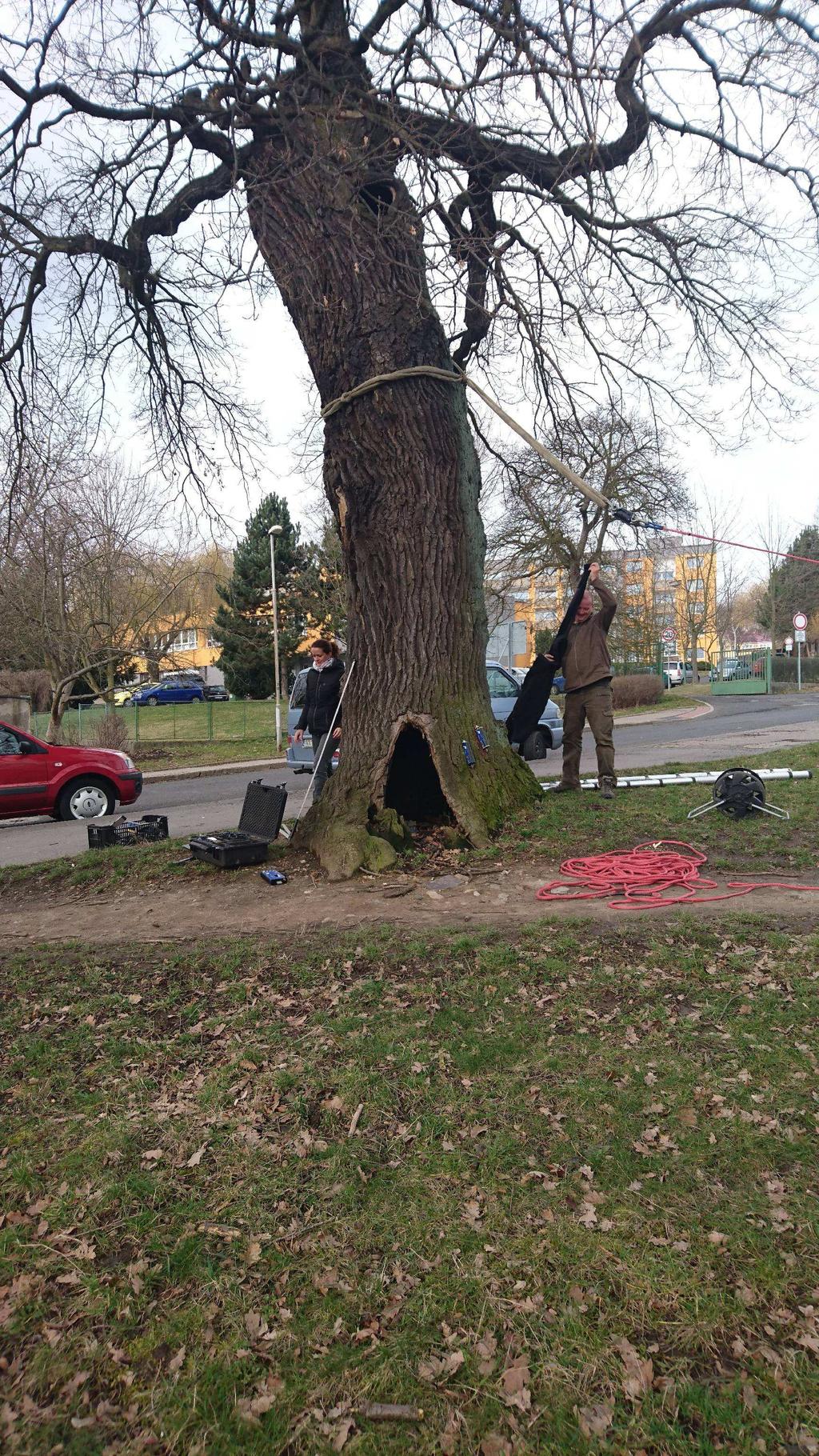 soukromých vlastníků a chátrají. Kazí tak vzhled romantického podzámčí, které se město snaží zvelebovat. Dvoupodlažní ob