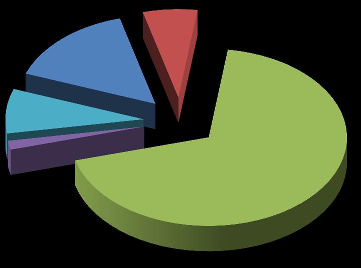 jednotlivcom 20,53% 58,40% kapitálové výdavky  5b