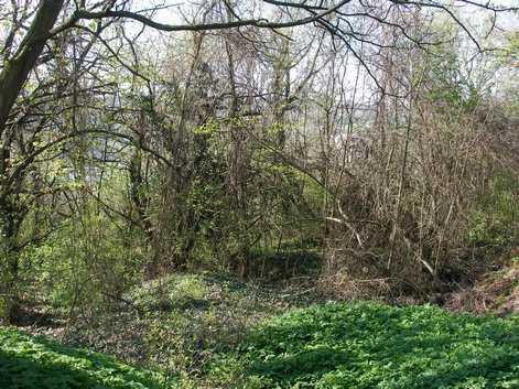 ZNALECKÝ POSUDEK O CENĚ OBVYKLÉ číslo 1553-32-2017 NEMOVITÁ VĚC: Pozemek parc. č. 372, k.ú.