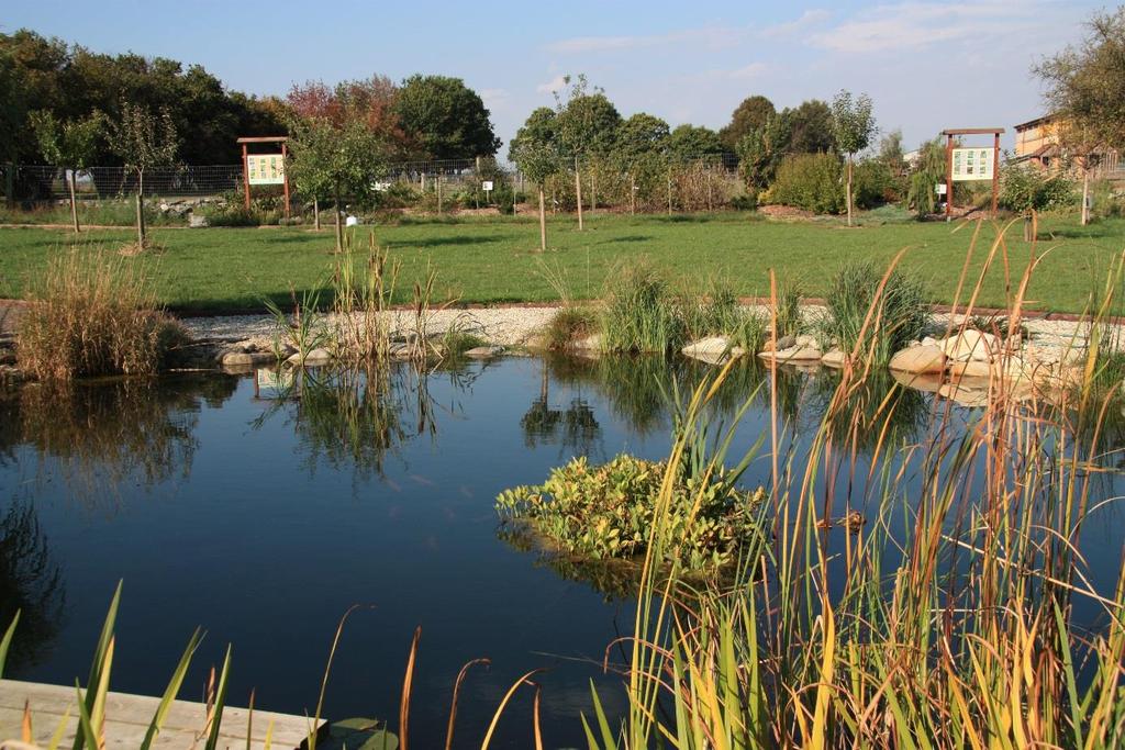 Výroční zpráva za školní rok 2017/2018 Školní arboretum V rámci projektu OPVK Podpora přírodovědného a technického vzdělávání v Pardubickém kraji jsme vybudovali krásnou učebnu v přírodě školní