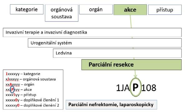 Rubešová Irena, Vašková Jitka, Vyhnanovská Pavlína, Zvolský Miroslav procedura vykonána (viz obr. č. 3).