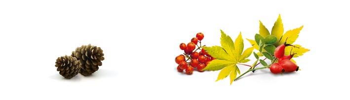 Drobné přeplatky se účtují přímo na bankovním dokladu do výnosů či nákladů, a to dle nastavené předkontace.