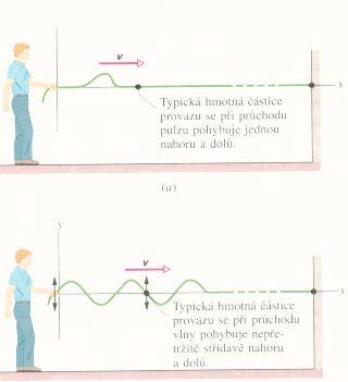 Dalším příkladem může být rozkmitání volného konce hadice rukou. Jednotlivé body hadice postupně vykmitávají ze svých původních klidových rovnovážných poloh. Hadicí se pak šíří vlnění. Obr. 1.8.