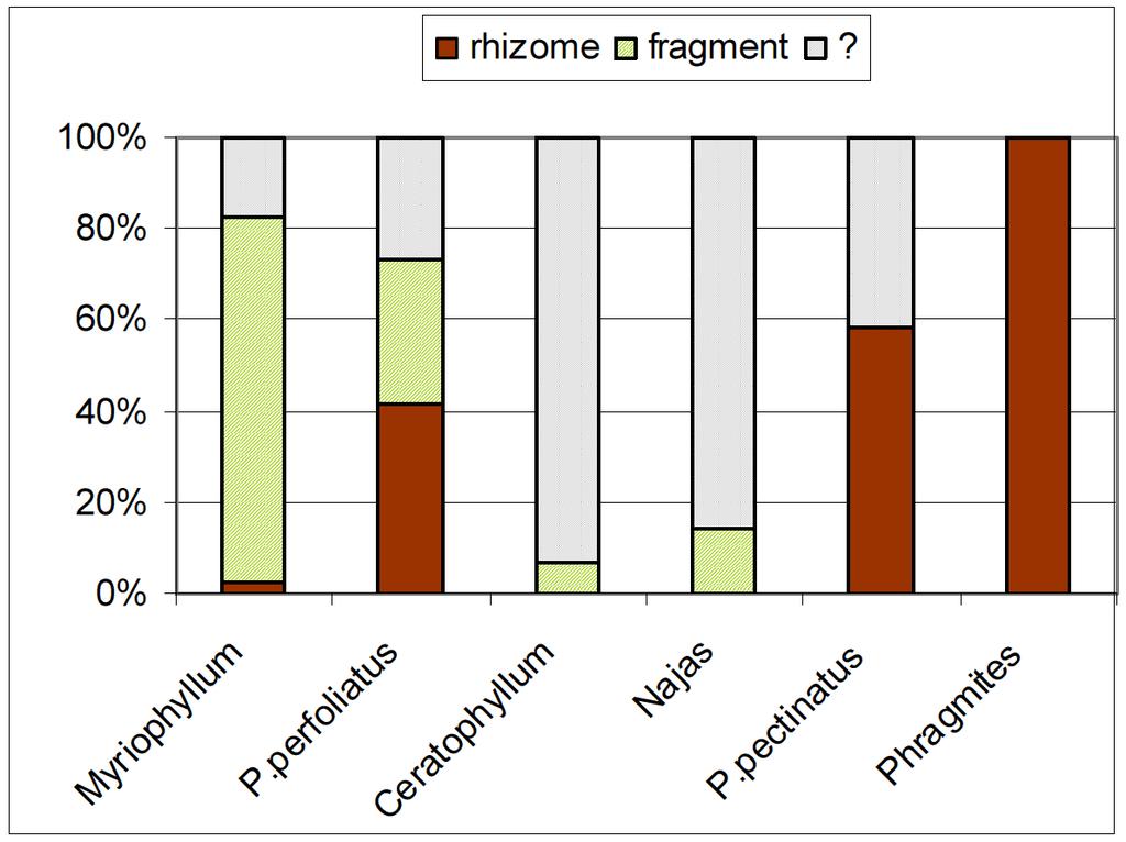 Délkou životaschopnosti vegetativních diaspor vodních rostlin se podrobně zabýval Sarneel (2013).