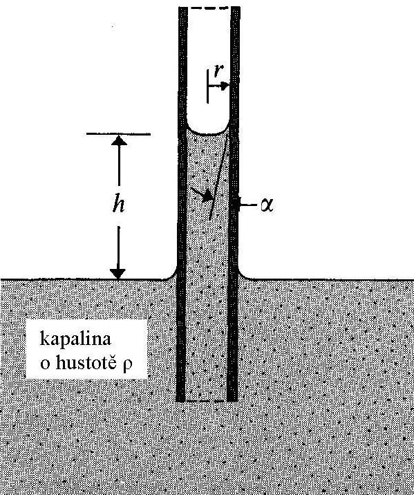 mírou kapilarity je výška h, do které kapalina v kapiláře vystoupí h = 2. T. cos α r. d. g h výška sloupce (m) T povrchové napětí pro vodu 0,072 kg.
