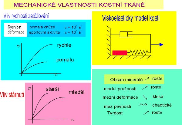 Rozdíly podle typu mechanické