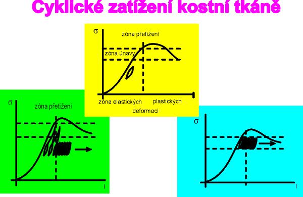 sil nad mezí únavy negativní reakce