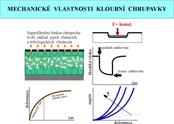 Tribologie (nauka o tření) Zabývá se obecně vzájemným působením povrchů tuhých těles