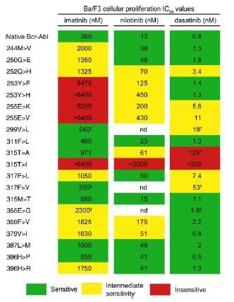 Obr.10: Senzitivita klinicky nejvýznamnějších mutací BCR/ABL k tyrozin kinázovým inhibitorům. (Deininger et al., 20