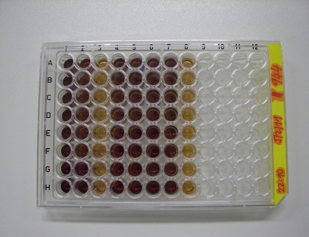 Obr.16: Měřená Destička: Ba/F3- pmig hbcr/mabl T315I -EGFP s TKI (pořízeno v laboratoři molekulární diagnostiky Chambon,2011) Spektrofotometrické hodnocení bylo provedeno na imark- microplate Reader