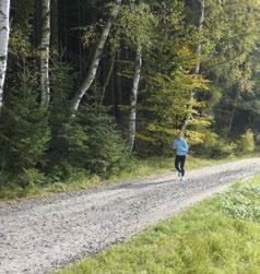 Horská kola Downhill Park na Klínovci Fourcrossová dráha na Zelené hoře v Kraslicích Terény ve Slavkovském lese a v Krušných horách objevíme na značených trasách KČT.