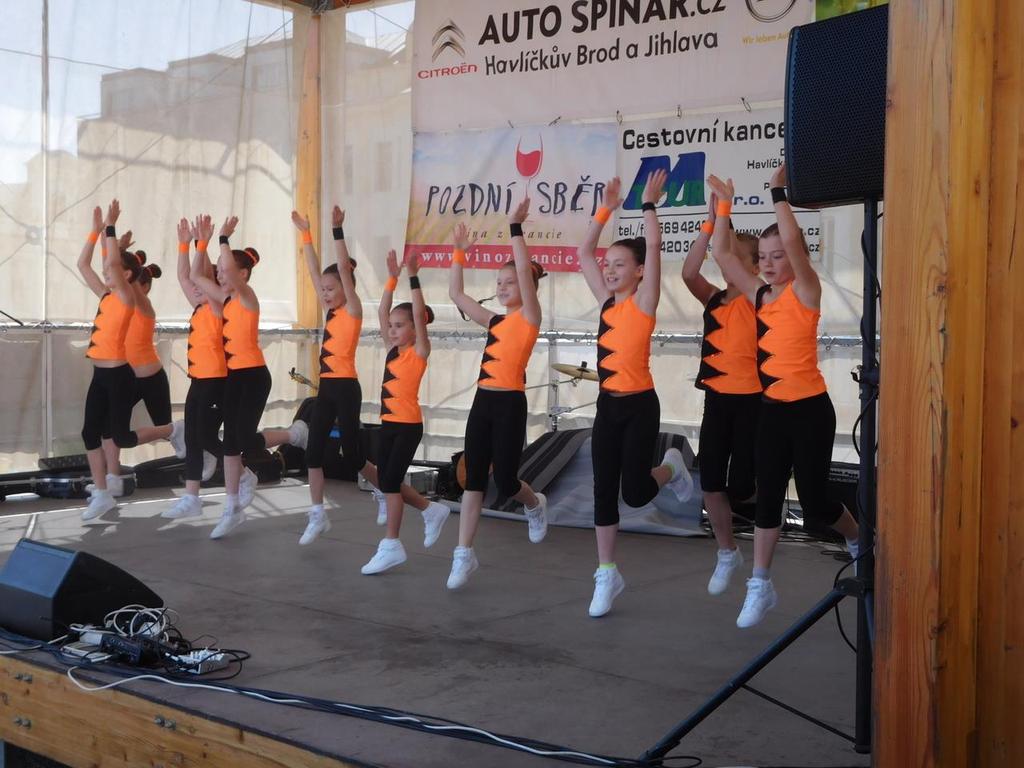 Aerobičky na