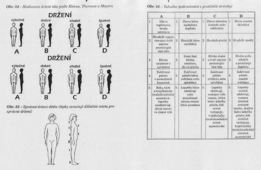 Příloha 10 - Hodnocení držení těla podle Kleina, Thomase a Mayera Zdroj: POKOVÁ, P. Výukové materiály pro kineziologický rozbor bakalářské studium obor fyzioterapie. Plzeň 2007.