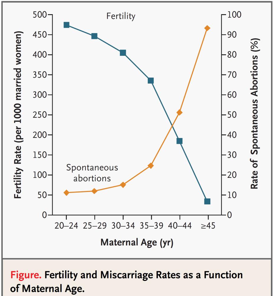 Vliv věku na plodnost a spontánní potraty Heffner LJ.