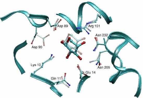 Structure-based virtual screening Protein-ligand docking predikce 3D struktury komplexu ligandu