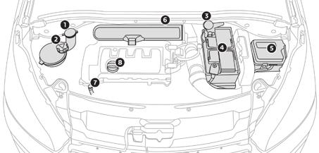 Praktické informace Benzinový motor Umístění komponentů pro možnost kontroly hladiny náplní a výměnu některých komponentů. 1. Nádržka kapaliny ostřikovače skel. 2. Nádržka chladicí kapaliny. 3.