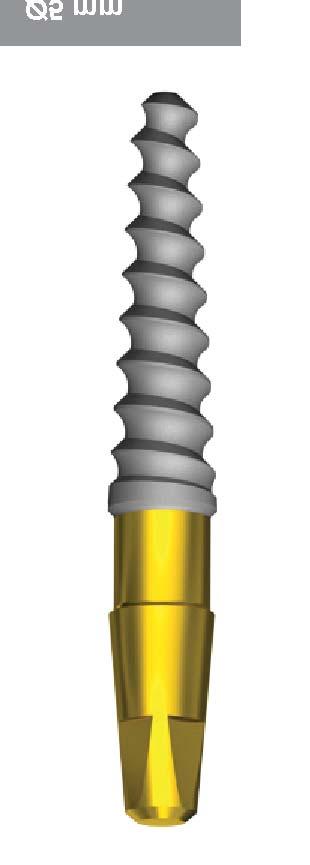 ARRP ARROW PRESS IMPLANTÁTY Arrow Press je jednodílný implantát s integrovanym, zlatě zbarvenym abutmentem, navržený pro použití ve velmi úzkých alveolárních hřebenech, většinou v oblasti hornich