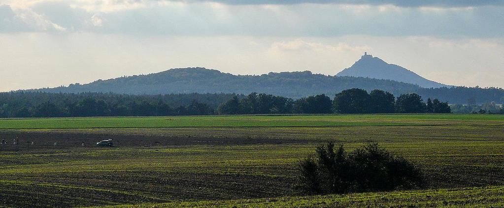 Lesní porosty představují zbytek relativně přirozeného lesa, habrové až bukové doubravy výrazně ovlivněné svahovými prameništi.