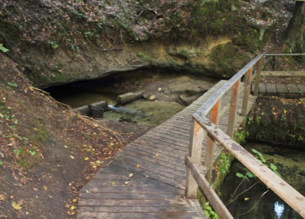 l/s/km 2 ze zájmové oblasti (Krásný a kol. 1981) vychází povodí Bartošovy pece na 4 až 5,5 km 2. Povrchová povodí jednotlivých ponorů tvoří jen 20-30 % plochy celého povodí.