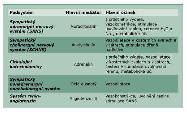 Nepříznivé účinky jsou v oblasti cirkulační, renální, metabolicko endokrinní a lokální.