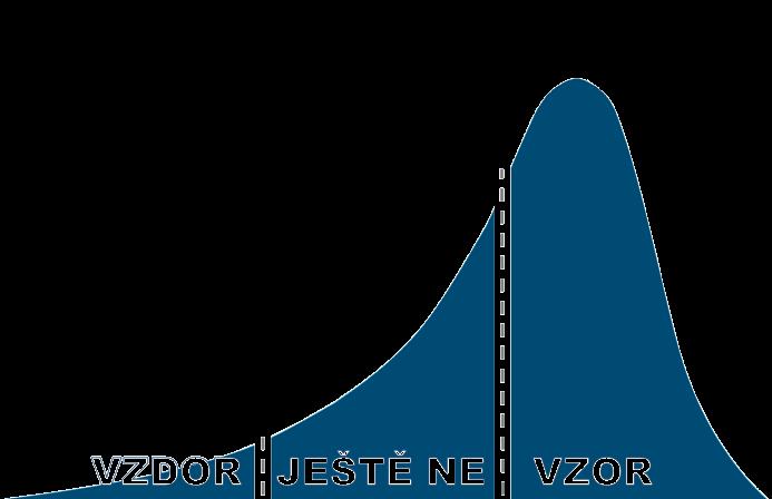 rozhodnutí VIZE STRATEGIE /