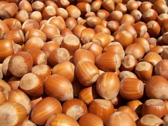 Nedeklarované arašídy v mletých pražených lískových oříšcích z Gruzie Špatná úroda lískových ořechů Arašídy jsou levnější než lískové ořechy Gruzinské úřady potvrdily podvodnou praktiku u nejméně