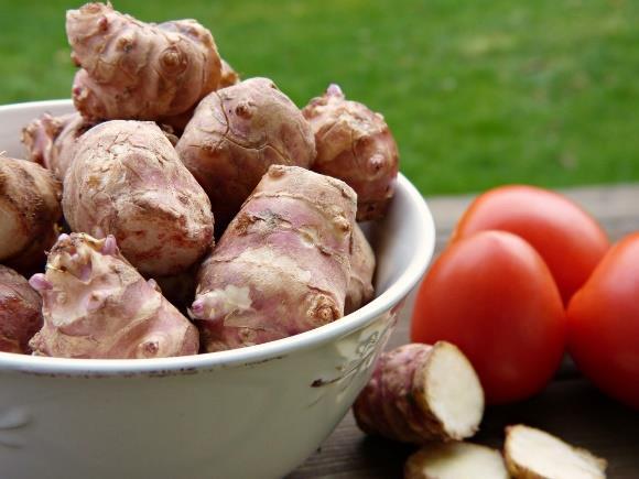 Jedná se o vlákninu rozpustnou, je v tlustém střevě fermentována bakteriemi a může být dále zpracována, resp. meziprodukty, nebo finální produkty z fermentačního procesu bakterií.