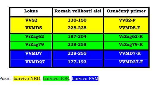 4.5 SEPARACE SSR PRODUKTŮ NA KAPILÁRNÍ ELEKTROFORÉZE Kapilární elektroforéza slouží k detekci a délkové separaci produktů PCR označených fluorescenční značkou.