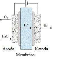 elektrony. Kyslík je z anody odváděn v plynné formě. Protony vodíku procházejí přes protonově vodivou membránu na katodu a elektrony jsou na katodu přiváděny pomocí vnějšího okruhu.