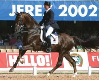 Sandro Hita také najdeme v původu hřebce Fürst Wilhelm, u kterého figuruje na pozici otce matky. 4. RUBIN-ROYAL Rubin-Royal OLD je čtvrtým nejlepším drezurním koněm světa.