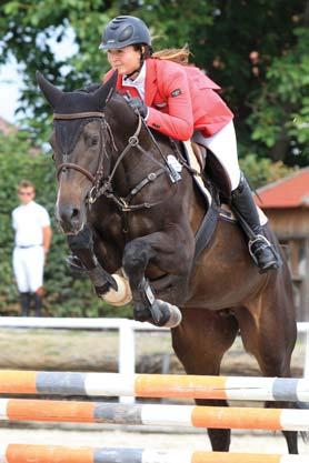 CHOVATELSKÝ FESTIVAL - FINÁLE KMK 2016 První zářijový víkend patřil již tradičně finále Kritériím mladých koní.