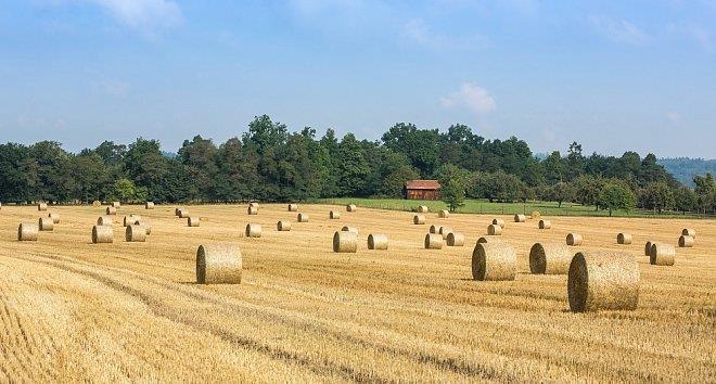 STATISTICKÝ PŘEHLED, VÝHLEDY EU 28, AKTUALITY Výsledek zahraničního agrárního salda pokračování ze str.