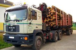 81) Na úřadovnu městské policie Vám bylo telefonicky oznámeno, že na místní komunikaci na území obce je odstaven nákladní automobil s nákladem kmenů stromů.