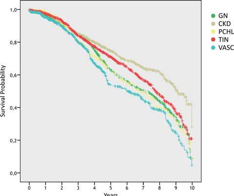 Zkratky: GN = chronické glomerulonefritidy; nckd = chronické onemocnìní ledvin bez pøesné specifikace; PCHL = polycystická choroba ledvin; TIN = tubulointersticiální nefritida; VASC = vaskulární