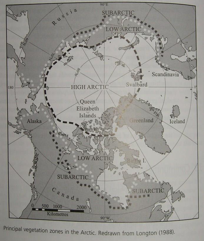 Vymezení Arktidy Low Arctic jižnější kraje s vyšší a hustší