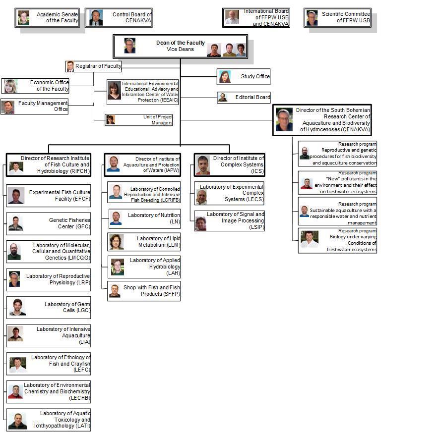 Vnitřní struktura a řízení Kontinuita s jistou optimalizací struktury a činností děkanátu a MEVPIS Částečná změna proděkanů, 4.