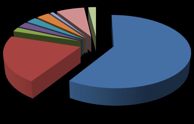 Největší položku u všech činností fakulty tvoří mzdové náklady. V úhrnu se jedná o 59,1 % celkových prostředků.